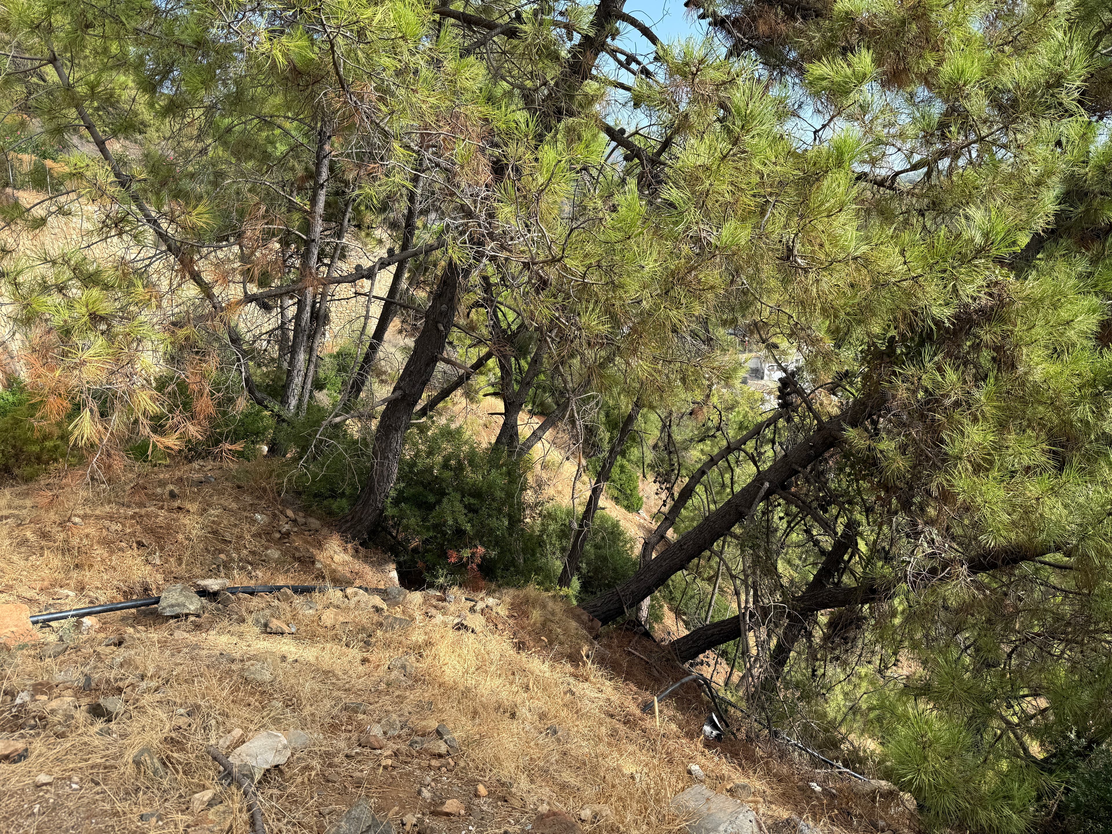 Perceel in Benahavis Centro