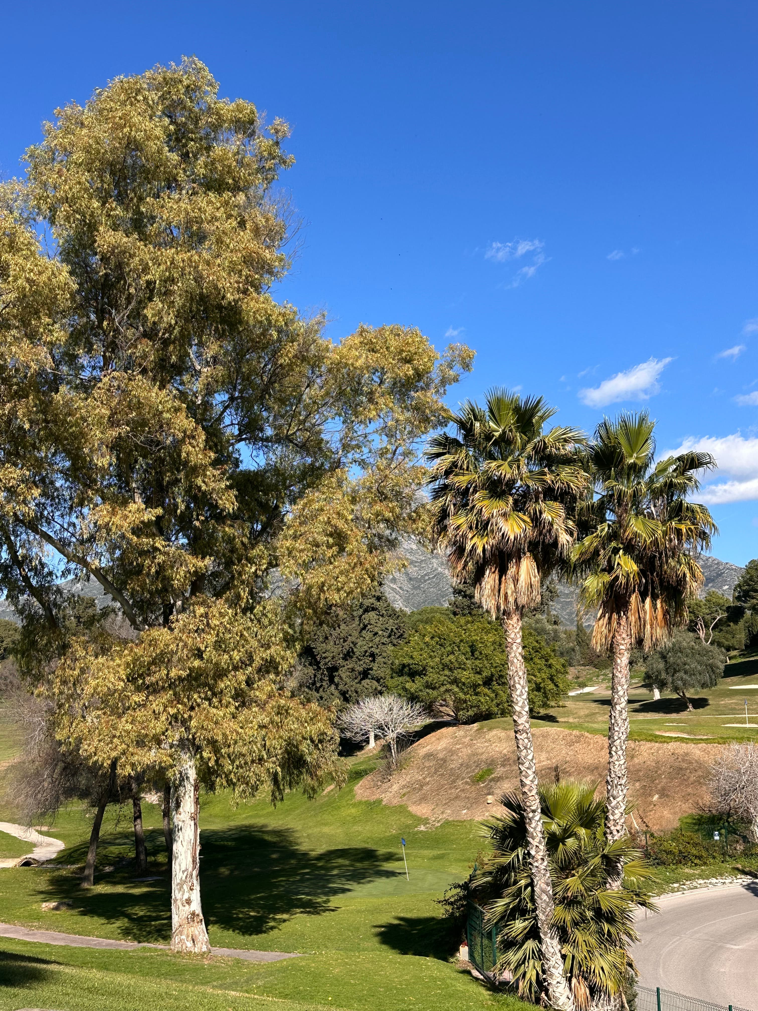 4-slaapk. Rijtjeshuis in Nueva Andalucia