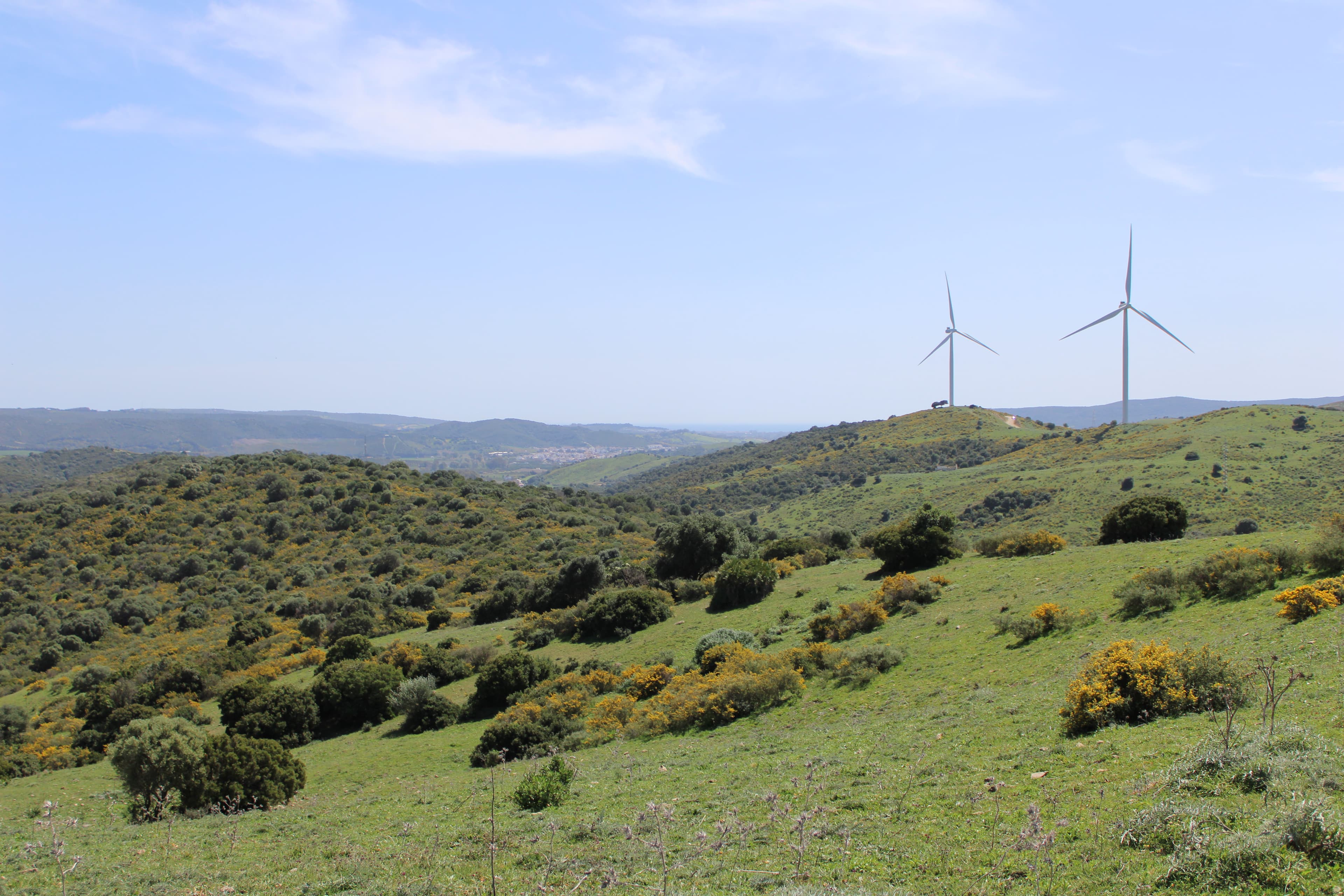 Plot in San Martin del Tesorillo