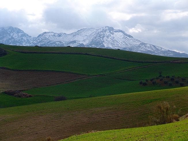 Perceel in Ardales