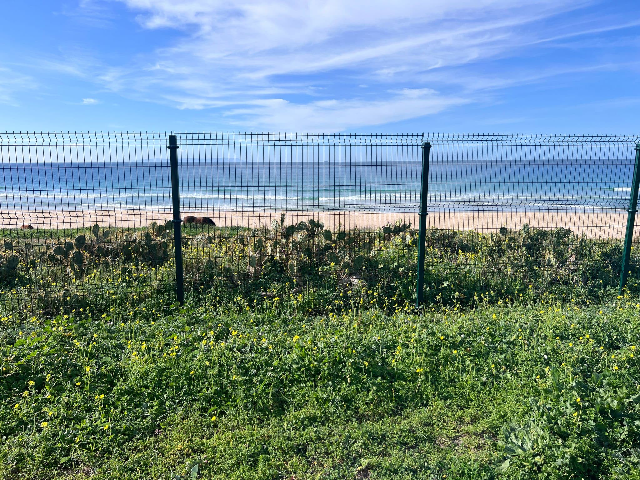 Perceel in Bolonia