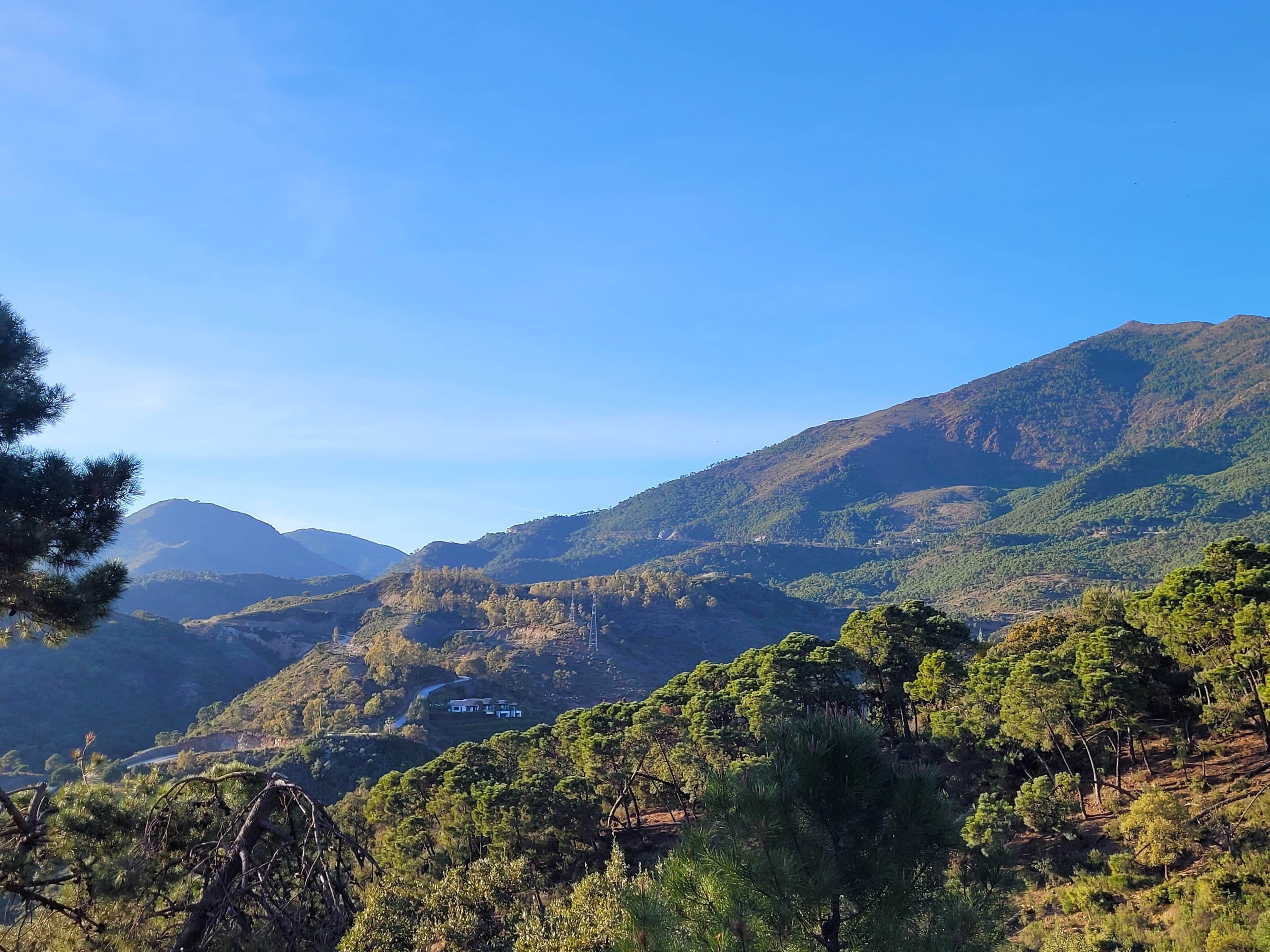 Plot in La Zagaleta