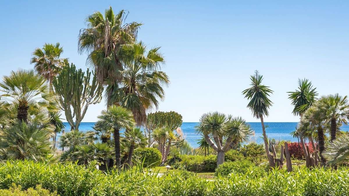 3-bed Apartment in Estepona